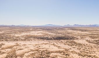 29 Rose Ln, Animas, NM 88020