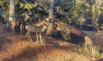 678 W Ski View Dr, Brian Head, UT 84719