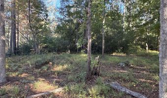 338 Southern Way Lot 61 W/ Boat Slip #3, Arapahoe, NC 28510
