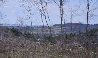 295 Shellstone Rd, Amsterdam, NY 12010