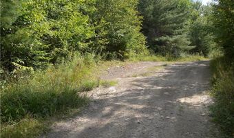 1454 Crane Ln, Woodhull, NY 14801