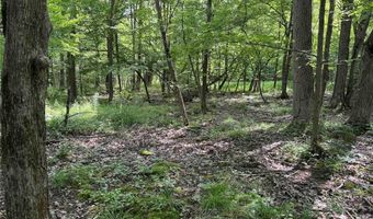 Green Road, Alfred, NY 14802