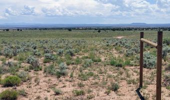 River Meadows Ranch lot 214, Concho, AZ 85924