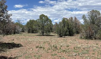 206 Brava Ln, Ash Fork, AZ 86320