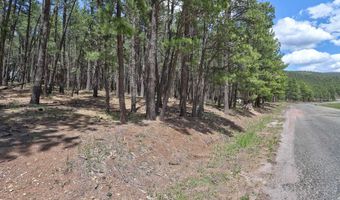 Lot 563 Lakeview Park Drive, Angel Fire, NM 87710