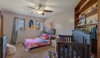 1703 310th Ave, Albion, NE 68620