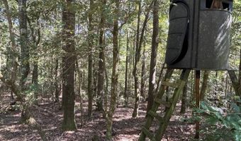 4496 State Hwy 130, Banks, AL 36005