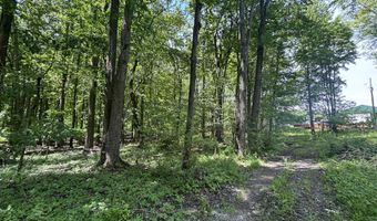V/L 28.5A 104th Avenue, Allegan, MI 49010