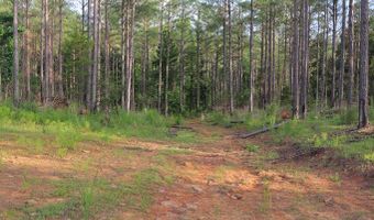 Hwy 9, Bruce, MS 38915