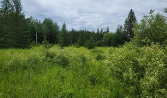 Xxx Heino Road, Angora, MN 55703