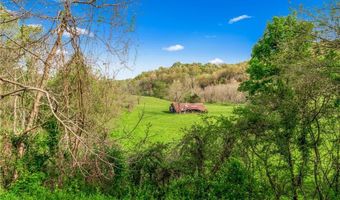 324 Hagee Rd, Anderson, MO 64831