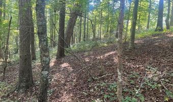 6 Acres Henry Scott, Ball Ground, GA 30107