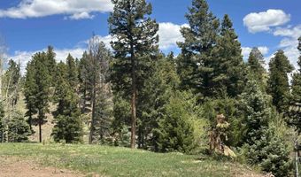 Lot 91ab Pam Coleman Drive, Angel Fire, NM 87710