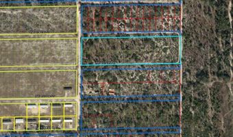 NE 123RD CT, Archer, FL 32618