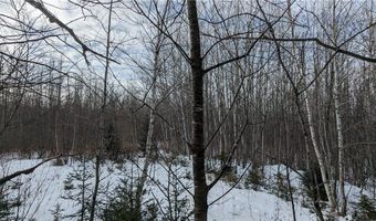 N County Highway W lot 0, Winter, WI 54896