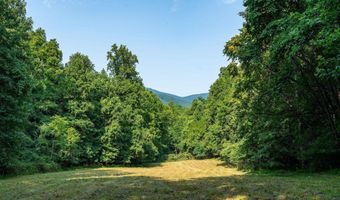 2476 ENNIS MOUNTAIN Rd, Afton, VA 22920