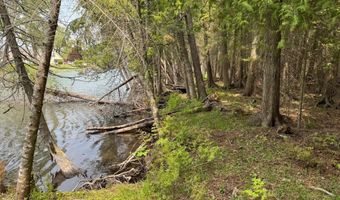 Banwell Road, Alanson, MI 49706