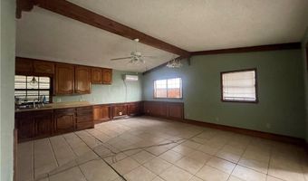1119 Calle Naranja, Alamo, TX 78516