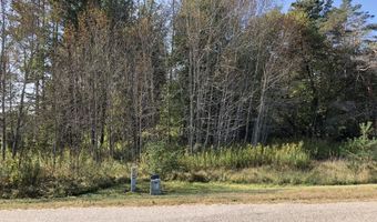 6430 Admirals Point Dr, Alanson, MI 49706