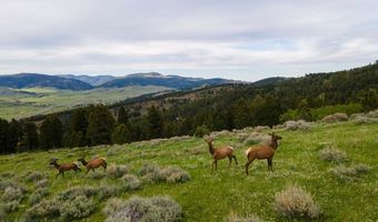 Trail Creek Road Lot 3, Bozeman, MT 59715