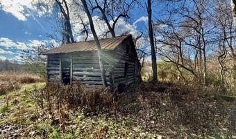 1520 Brittontown Rd, Afton, TN 37616