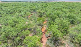 CR 260, Anson, TX 79501