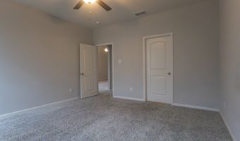 2100 Penaflor Dr, Anna, TX 75409