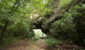 Lot 25 Rockhouse Trace Road, Albany, KY 42602