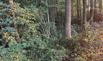 00 Nc N 903, Albertson, NC 28508