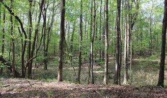 Ruffner Road 00, Barnesville, GA 30204