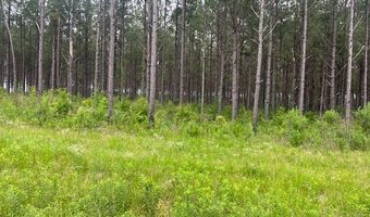 2423 B East Lincoln Rd, Brookhaven, MS 39601