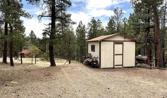 29 27 N 2058, Alpine, AZ 85920