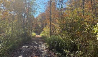 0 Mexico St, Albion, NY 13302