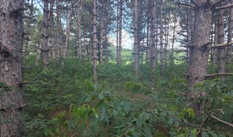Lot 113 Beaver Lane, Arkdale, WI 54613