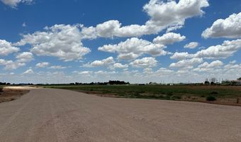 SE CR 2870, Andrews, TX 79714