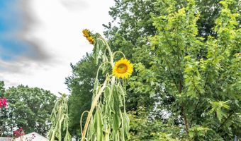 10213 GERMANTOWN Rd, Berlin, MD 21811