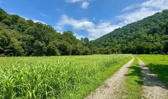 179 Cow Ln, Arnoldsburg, WV 25234
