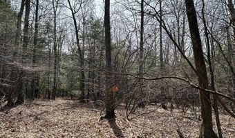 385 ELK CREEK Rd, Aaronsburg, PA 16820