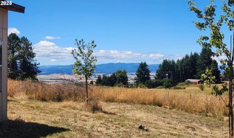 8325 SE SKY VISTA Dr, Amity, OR 97101
