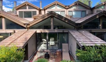 625 S West End St #7, Aspen, CO 81611