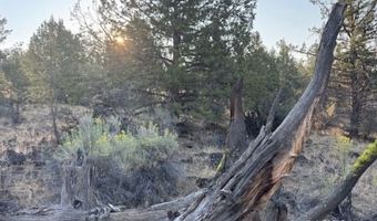 Brant Drive, Bonanza, OR 97623