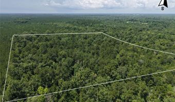 River Rd, Bascom, FL 32423