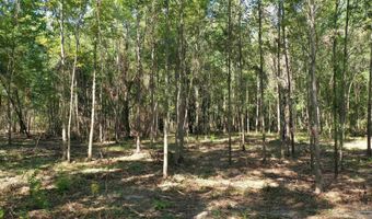 Lot 1a Harris St, Atmore, AL 36502