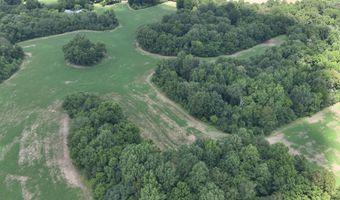 Hwy 1591, Bardwell, KY 42023
