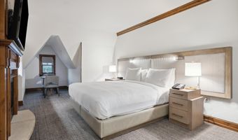 415 E Dean St Unit 46 Week 34, Aspen, CO 81611