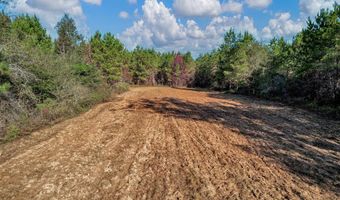 0 County Road 127, Banks, AL 36005