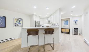 506 W Hallam St, Aspen, CO 81611