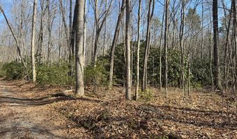 Brookstone Road lot 3, Bastian, VA 24314