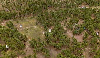 County Rd 2121, Alpine, AZ 85920