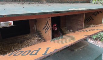 96420 ALDER RIDGE Rd, Brookings, OR 97415